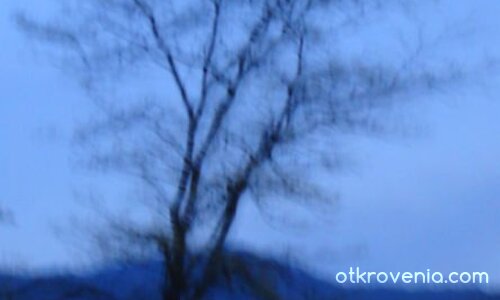 преди да притъмнее