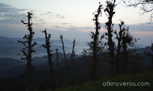 Siul Liom Tri (Следвай ме)