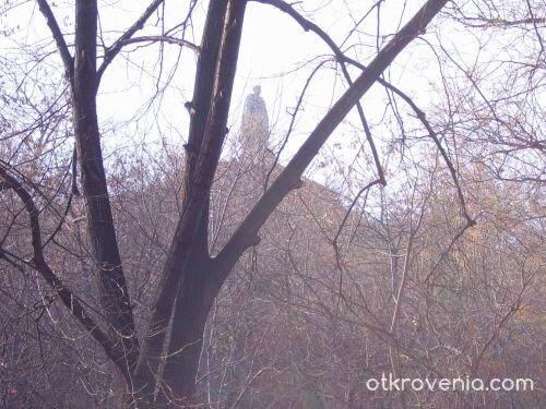 Поглед към Альоша