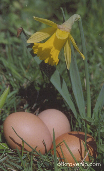 Великден е близо :)