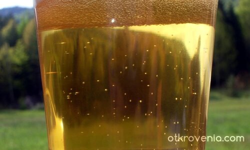 Бира с природа