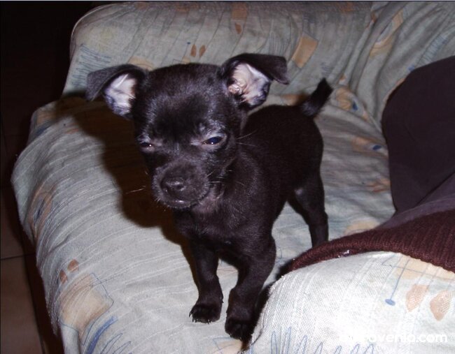 Добро утро!