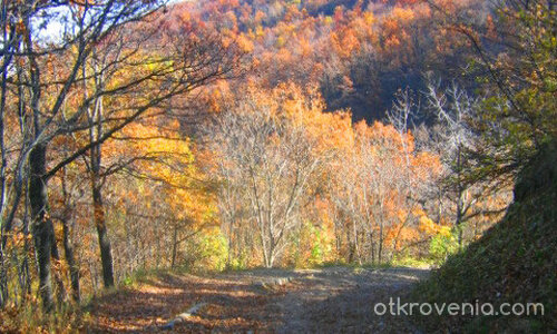 есеннен пейзаж