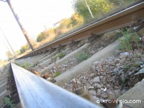 линиите ... на живота