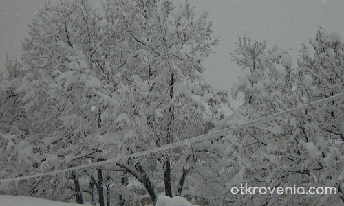 Снежна приказка