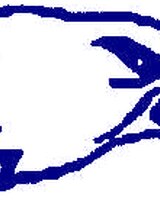 Raptor-Evilslayer (Неутрален Творец)