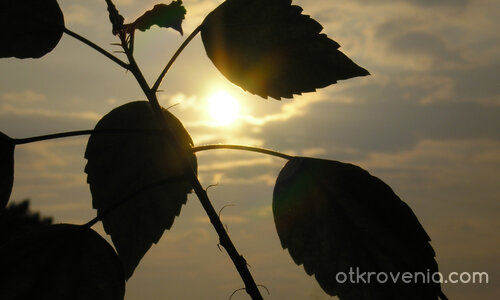 Не тъгувай, утре пак ще изгрея