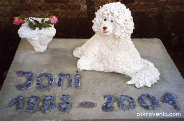 Последната грижа за него