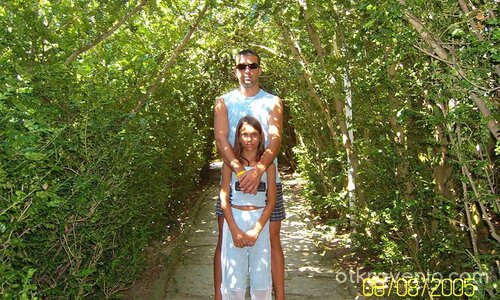 Тунел от зеленина