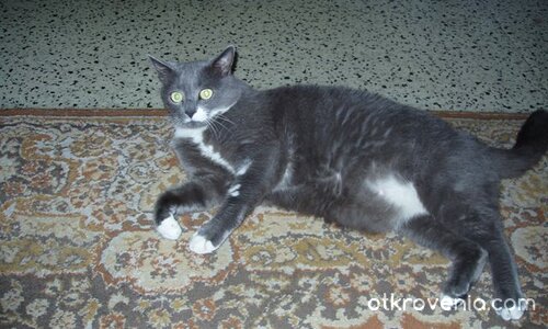 Опънала се е