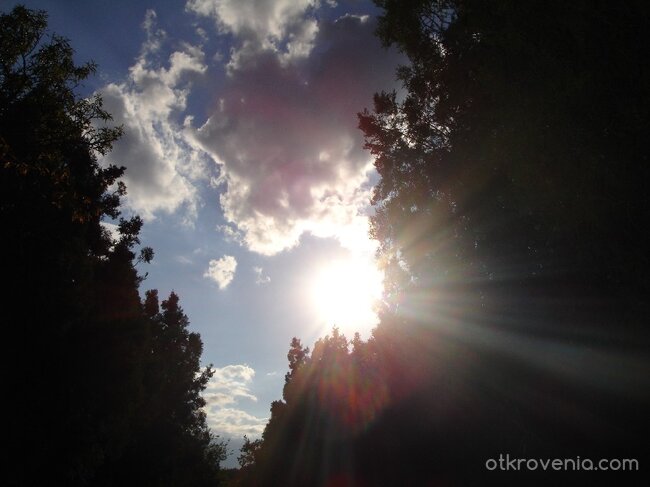 Ще те видя ли пак?