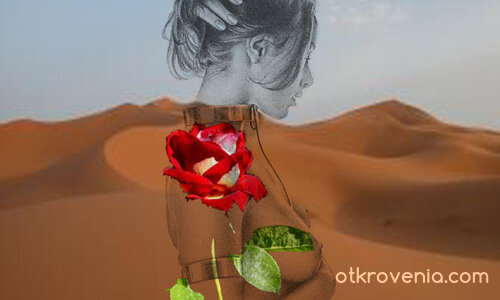desert rose