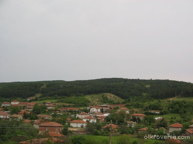 От птичи поглед