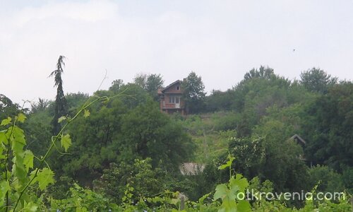 Домът на самотата