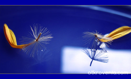 Крехки отражения