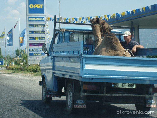С такси до пустинята