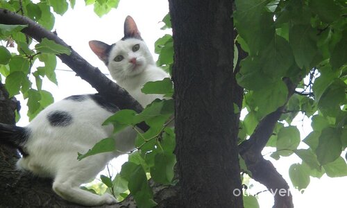 Оставете ме на мира!