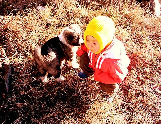 Бебо и Биба...