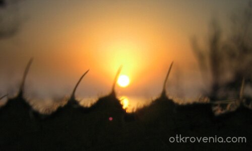 Не съм твоята закуска, Драги...