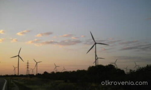 От тях потича живот.