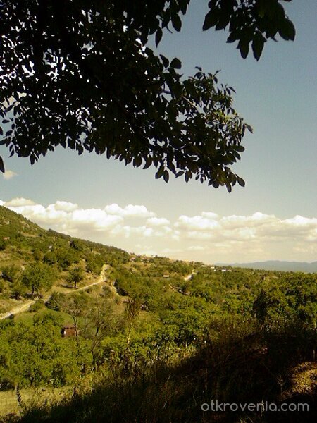 Природа като картинка