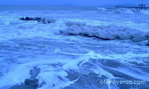 Студен порив