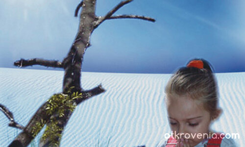 Корени без дървета