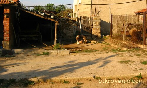 Селски двор, от слънце огрян