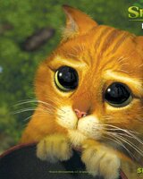 radinka_88 (Радина)