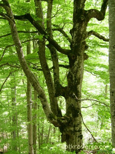 Да бъдеш различен