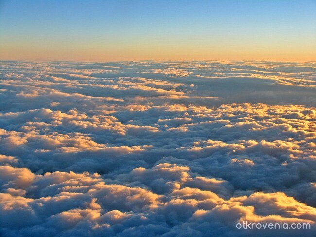 Залеза на моя живот