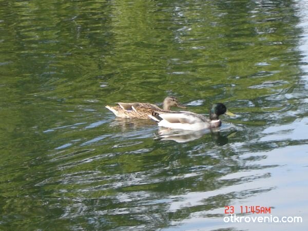 заедно до края...