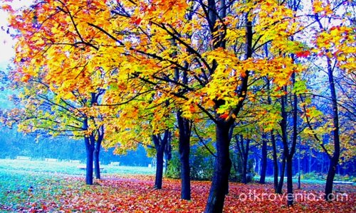 Есен в парка