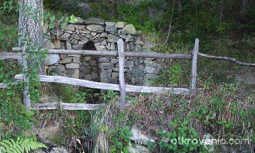 T Muid Beo (Духът на келтите)