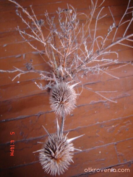 приближи се още...,още...