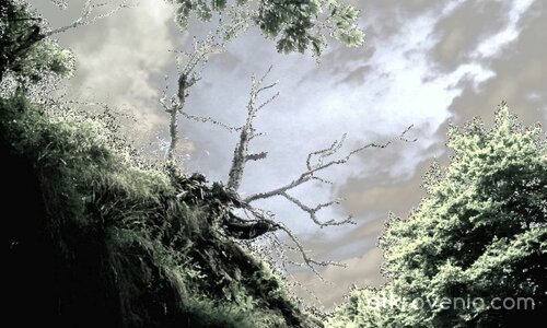 До къщата на баба Яга