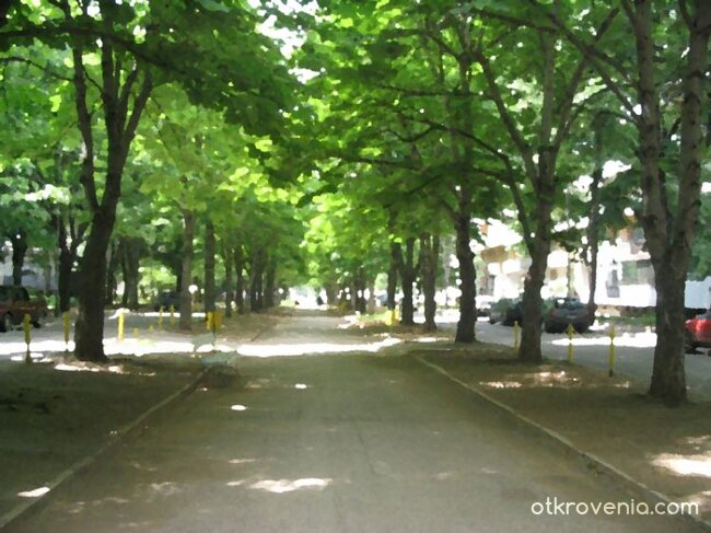 Нарисувай ме