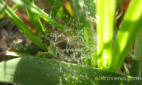 В света на миниатюрното...