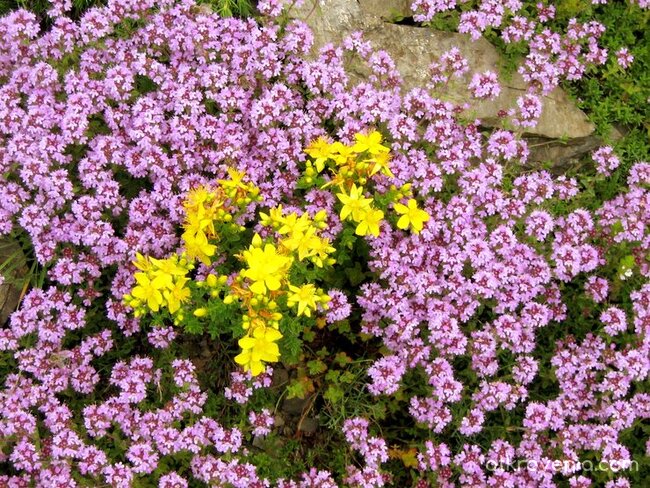 ... в планината...