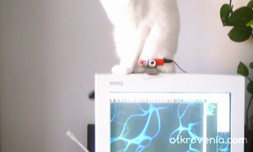 Аз виждам всичко