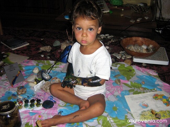 EMOЦИИ... "виновност"  (... всред творческата атмосфера...:) 