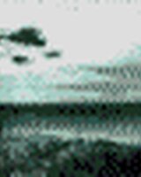 gotinoto_g (Габи Томова)