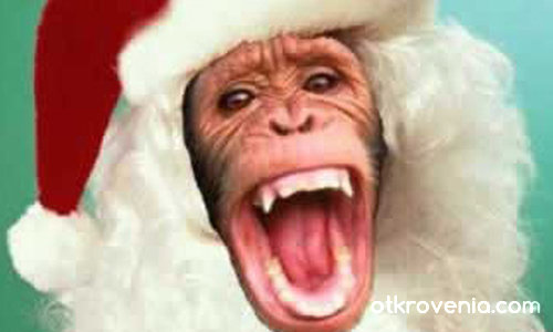 ЧЕСТИТА КОЛЕДА