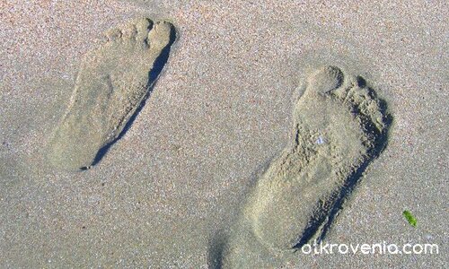 хопа-троп ...