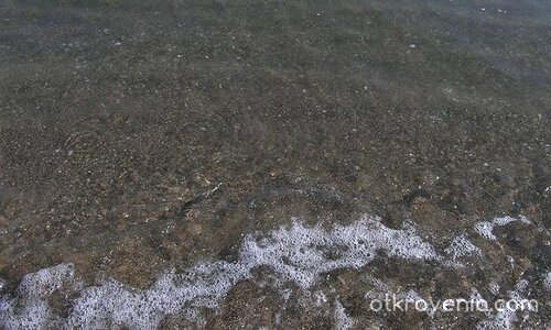 Морска пяна