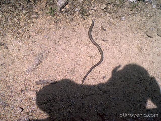 Фотографско изпитание