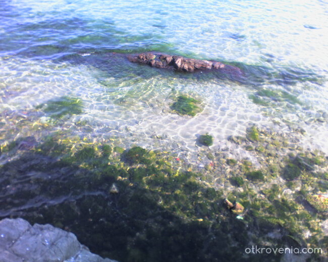 морски свят