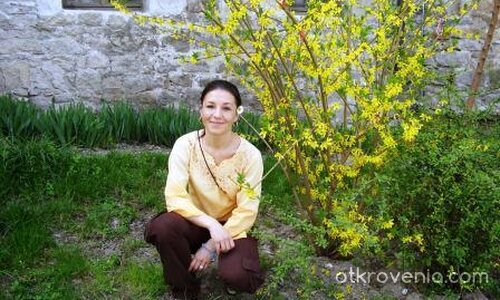 Цветове и цветя