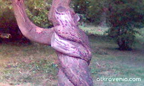 Прегръдка..