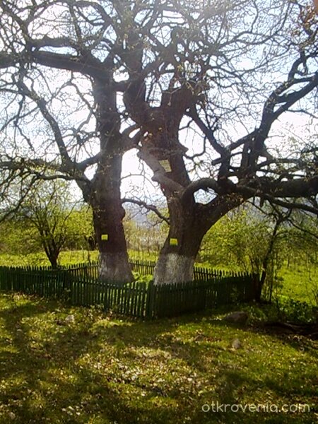 Силата на вековете